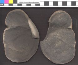Small image of specimen