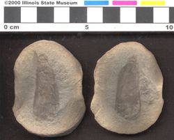 Small image of specimen