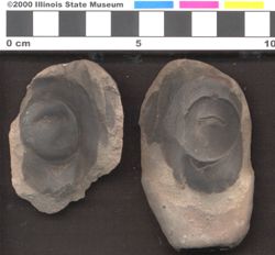Small image of specimen