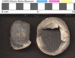 Small image of specimen