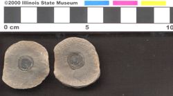 Small image of specimen