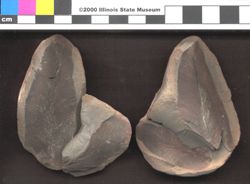 Small image of specimen