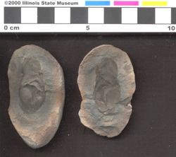 Small image of specimen