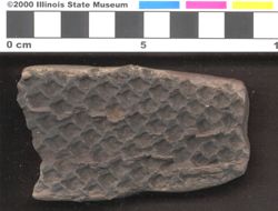 Small image of specimen