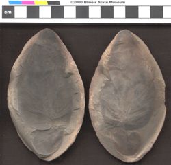 Small image of specimen