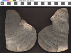 Small image of specimen