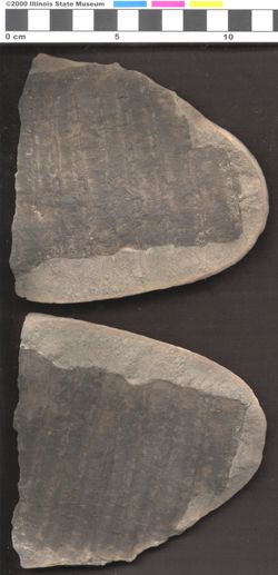 Small image of specimen