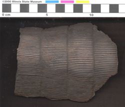 Small image of specimen