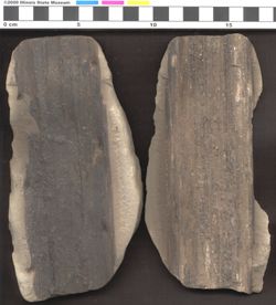 Small image of specimen