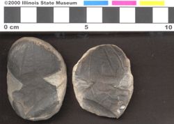 Small image of specimen