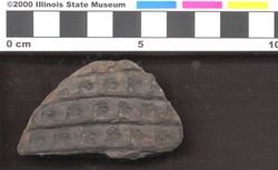 Small image of specimen