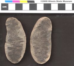 Small image of specimen