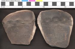 Small image of specimen
