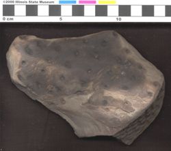 Small image of specimen