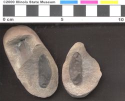 Small image of specimen