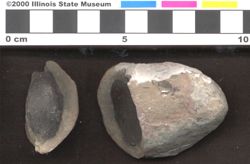 Small image of specimen