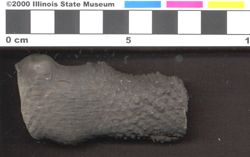 Small image of specimen