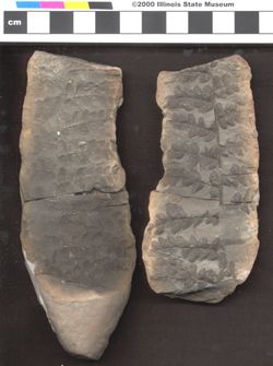 Small image of specimen