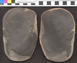 Small image of specimen
