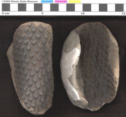Small image of specimen