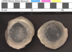 Small image of specimen