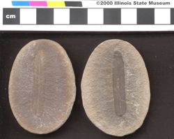 Small image of specimen
