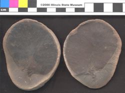 Small image of specimen