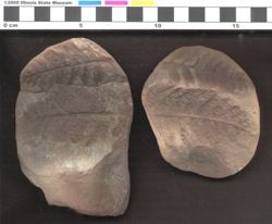Small image of specimen