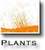 plants icon