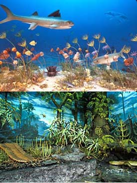 double image of marine and swamp dioramas