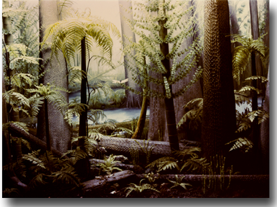 American Museum of Natural History Diorama