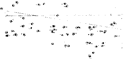 graphic of Jaguar tracks