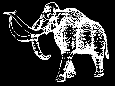 graphic of a mammoth
