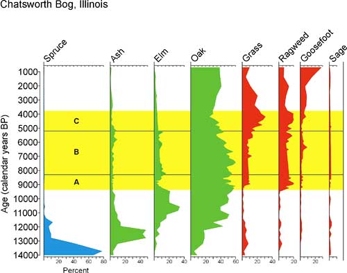 Pollen Diagram