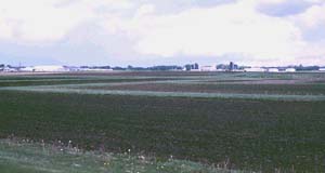 photo of farmland