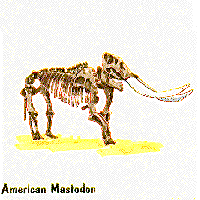 American Mastodon graphic
