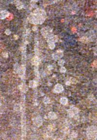 howell-detail