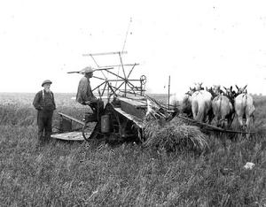 photograph of baling hay