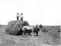 Image from Frank Sadorus Photograph Collection Lesson Plan on Farm Jobs