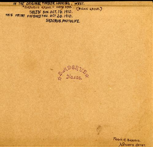 Original Timber (reverse)