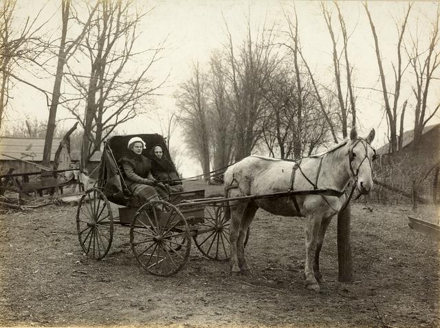 Mother and Mary Driving Old Kate