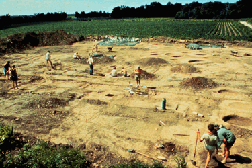 Larson Site Excavation