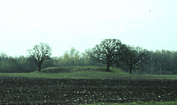 The Ogden Mound