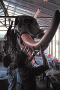 Reconstructing mastodont