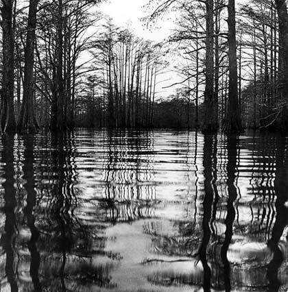 Horseshoe Lake