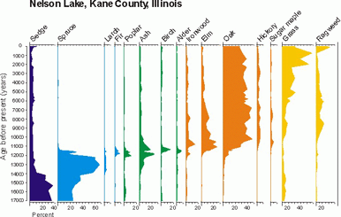 Nelson Lake Pollen Diagram