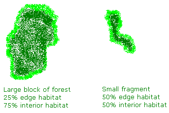 Edge habitat