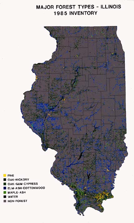 Forest types of Illinois