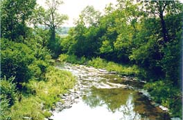 Prairie Creek at Midewin NTP