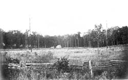 Cabin on cleared land